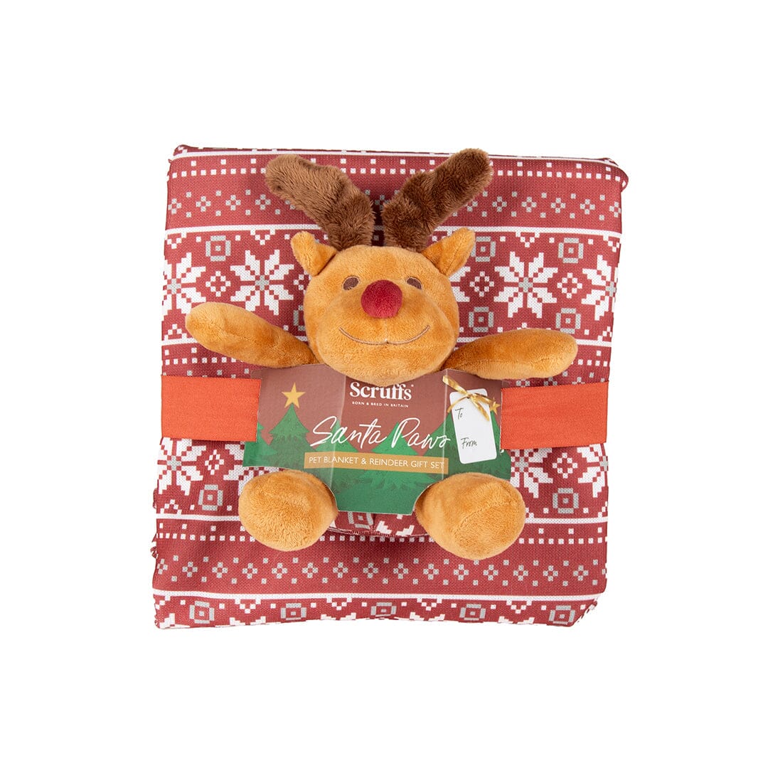 Santa Paws Blanket & Reindeer Gift Set - Red Dog Beds Scruffs®
