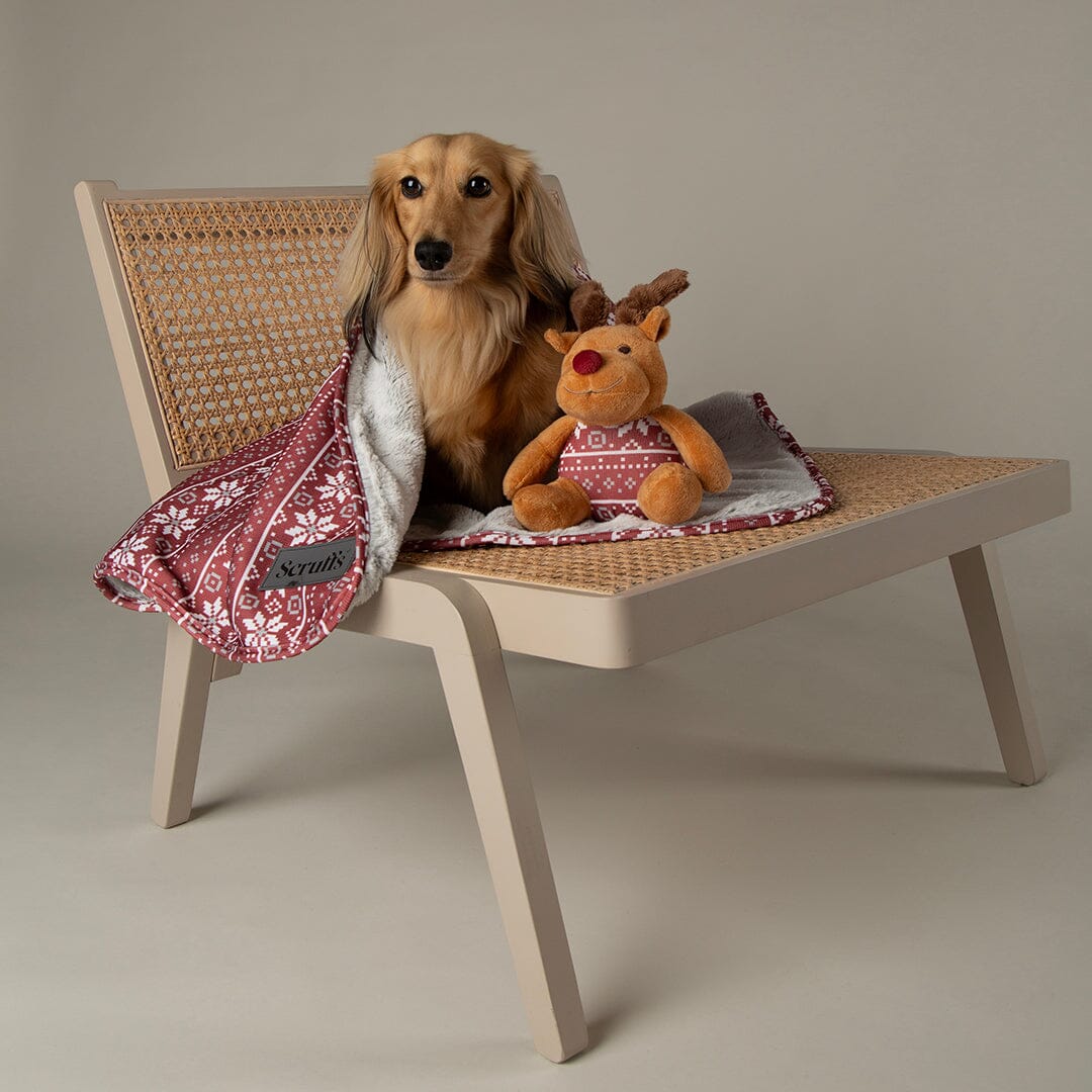 Santa Paws Blanket & Reindeer Gift Set - Red Dog Beds Scruffs®
