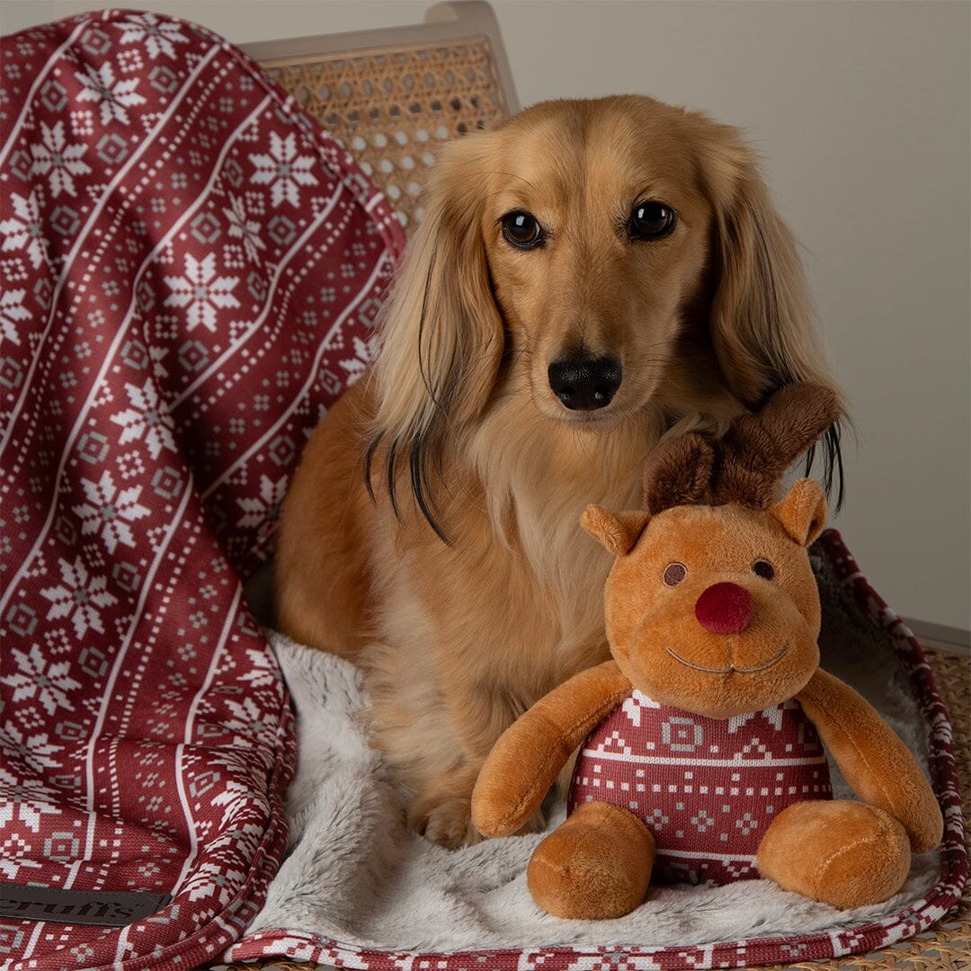 Santa Paws Blanket & Reindeer Gift Set - Red Dog Beds Scruffs®