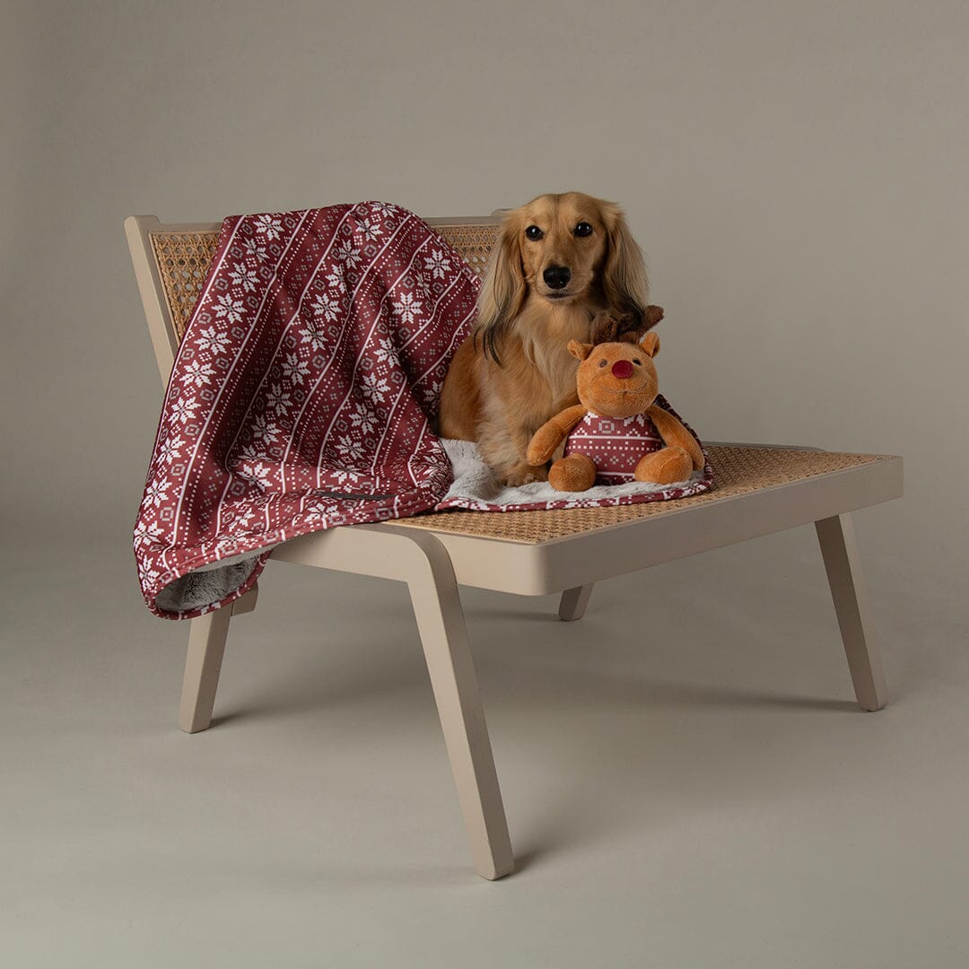 Santa Paws Blanket & Reindeer Gift Set - Red Dog Beds Scruffs®
