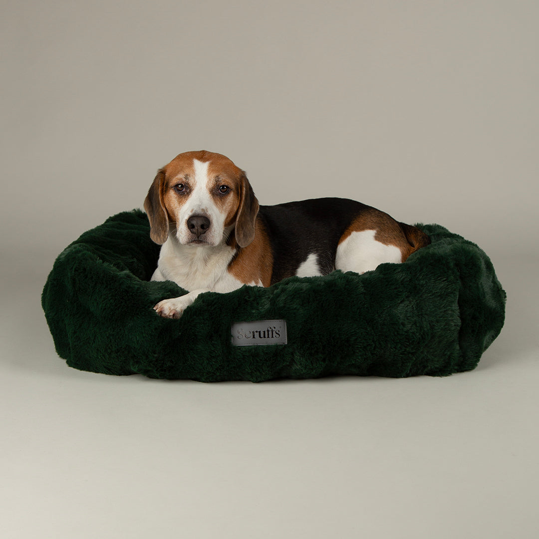 Festive Fur Box Bed - Green Dog Beds Scruffs®