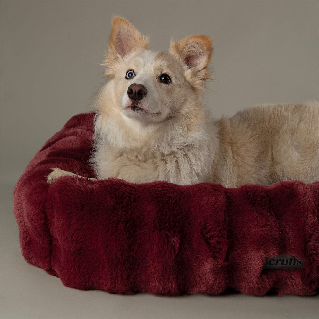 Festive Fur Box Bed - Burgundy Dog Beds Scruffs®
