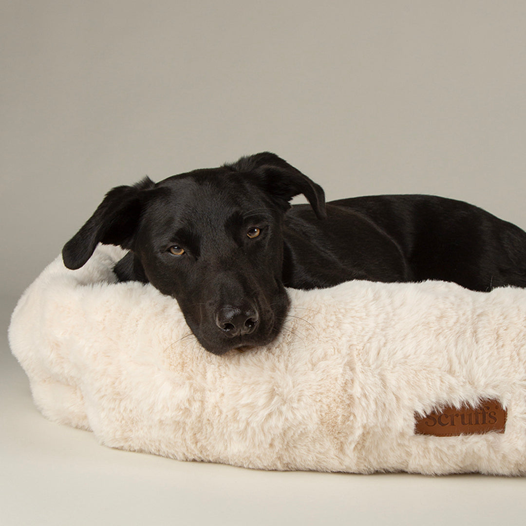 Festive Fur Box Bed - Cream Dog Beds Scruffs®