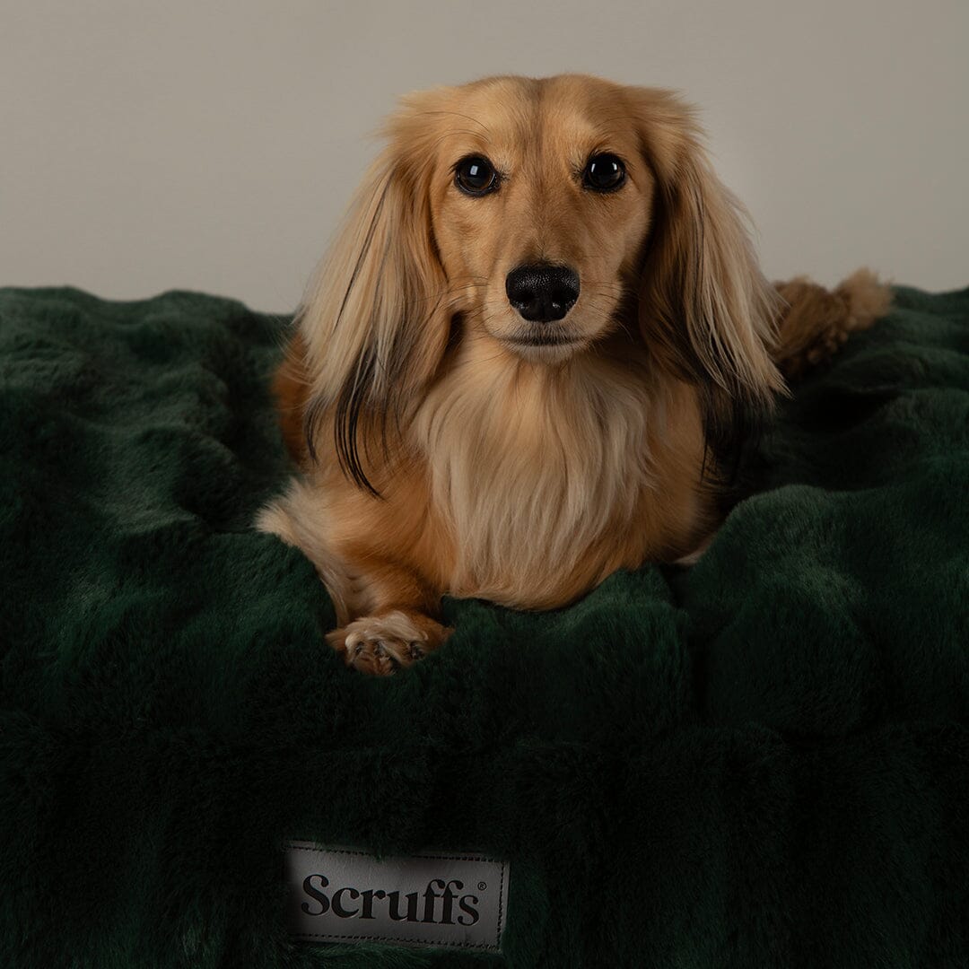 Festive Fur Mattress - Green Dog Beds Scruffs®