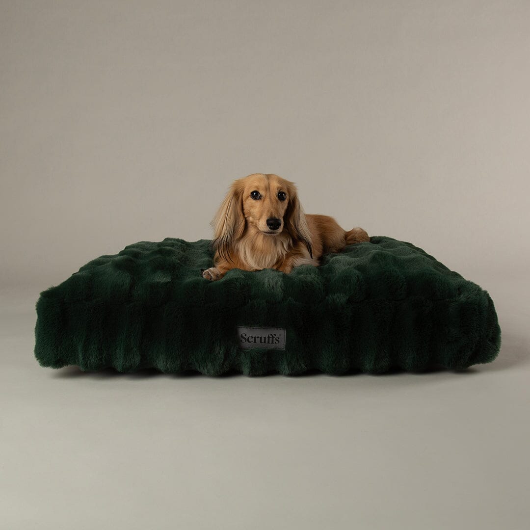 Festive Fur Mattress - Green Dog Beds Scruffs®