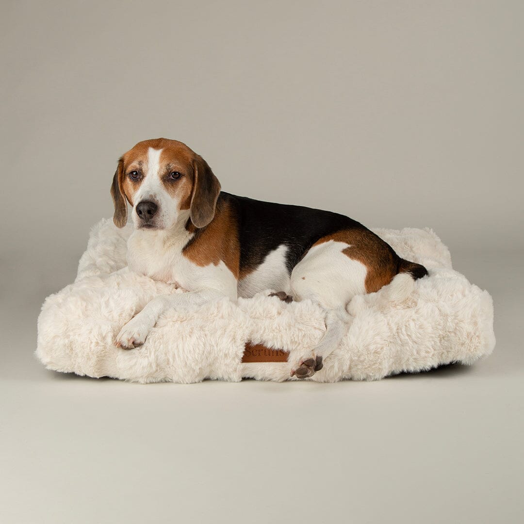 Festive Fur Mattress - Cream Dog Beds Scruffs®