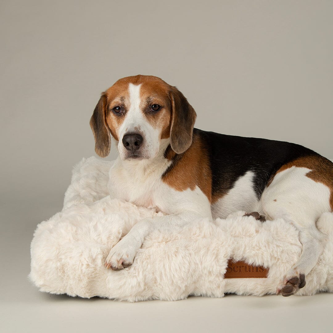 Festive Fur Mattress - Cream Dog Beds Scruffs®