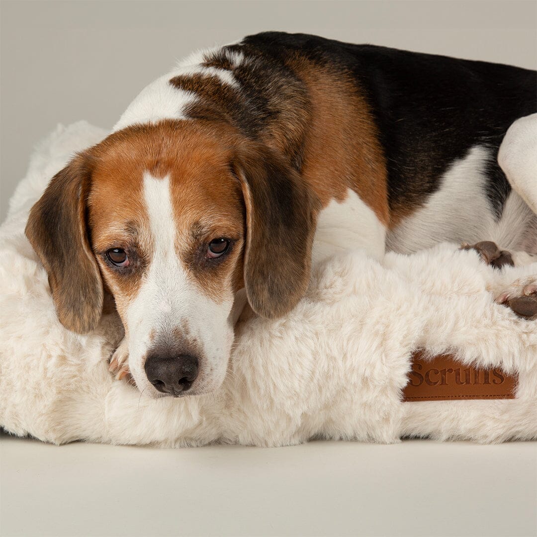 Festive Fur Mattress - Cream Dog Beds Scruffs®