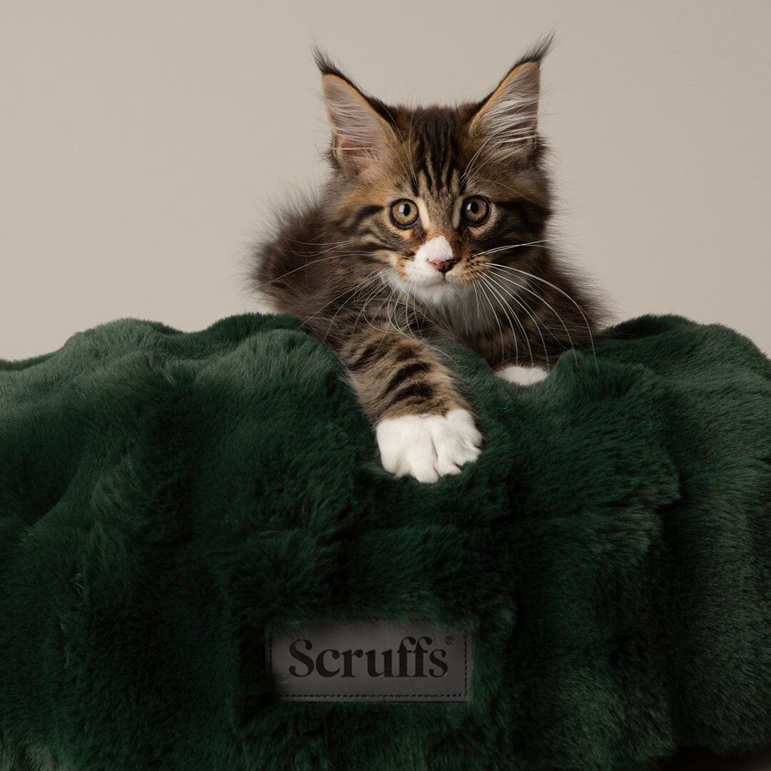 Festive Fur Cat Bed - Green Cat Bed Scruffs®