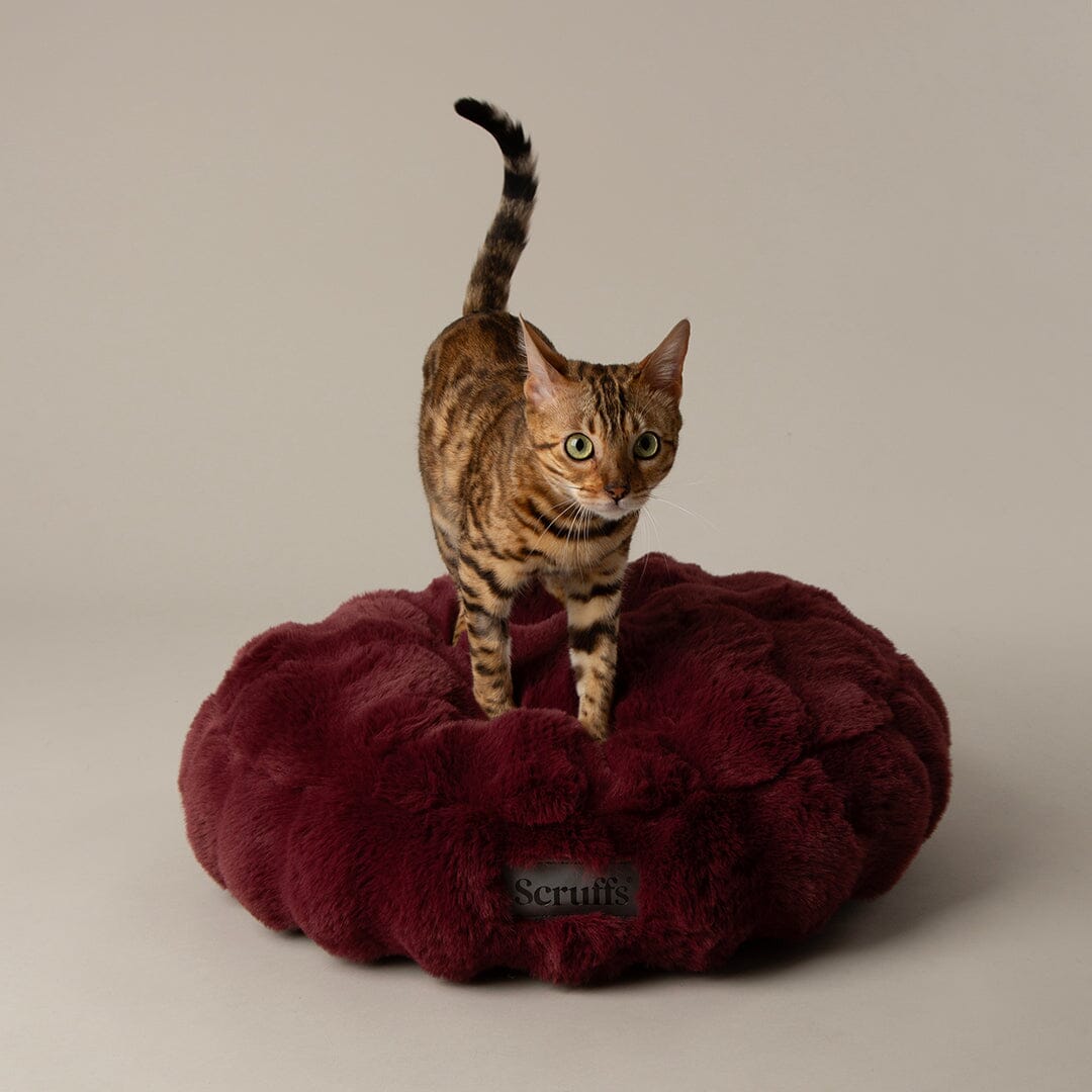 Festive Fur Cat Bed - Burgundy Cat Bed Scruffs®