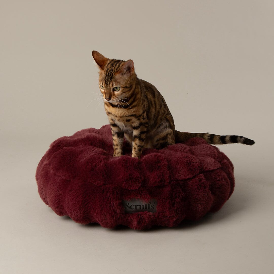 Festive Fur Cat Bed - Burgundy Cat Bed Scruffs®