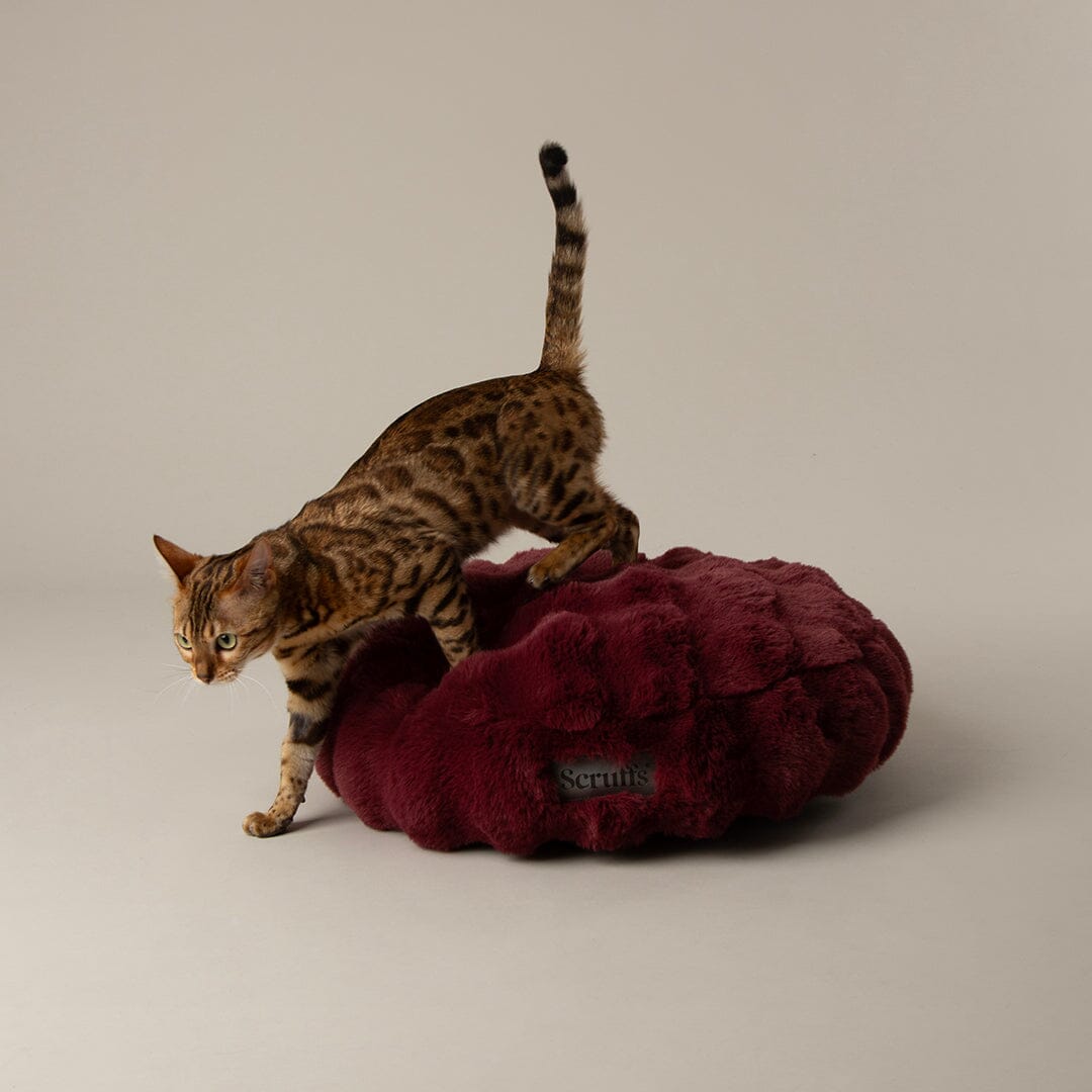 Festive Fur Cat Bed - Burgundy Cat Bed Scruffs®