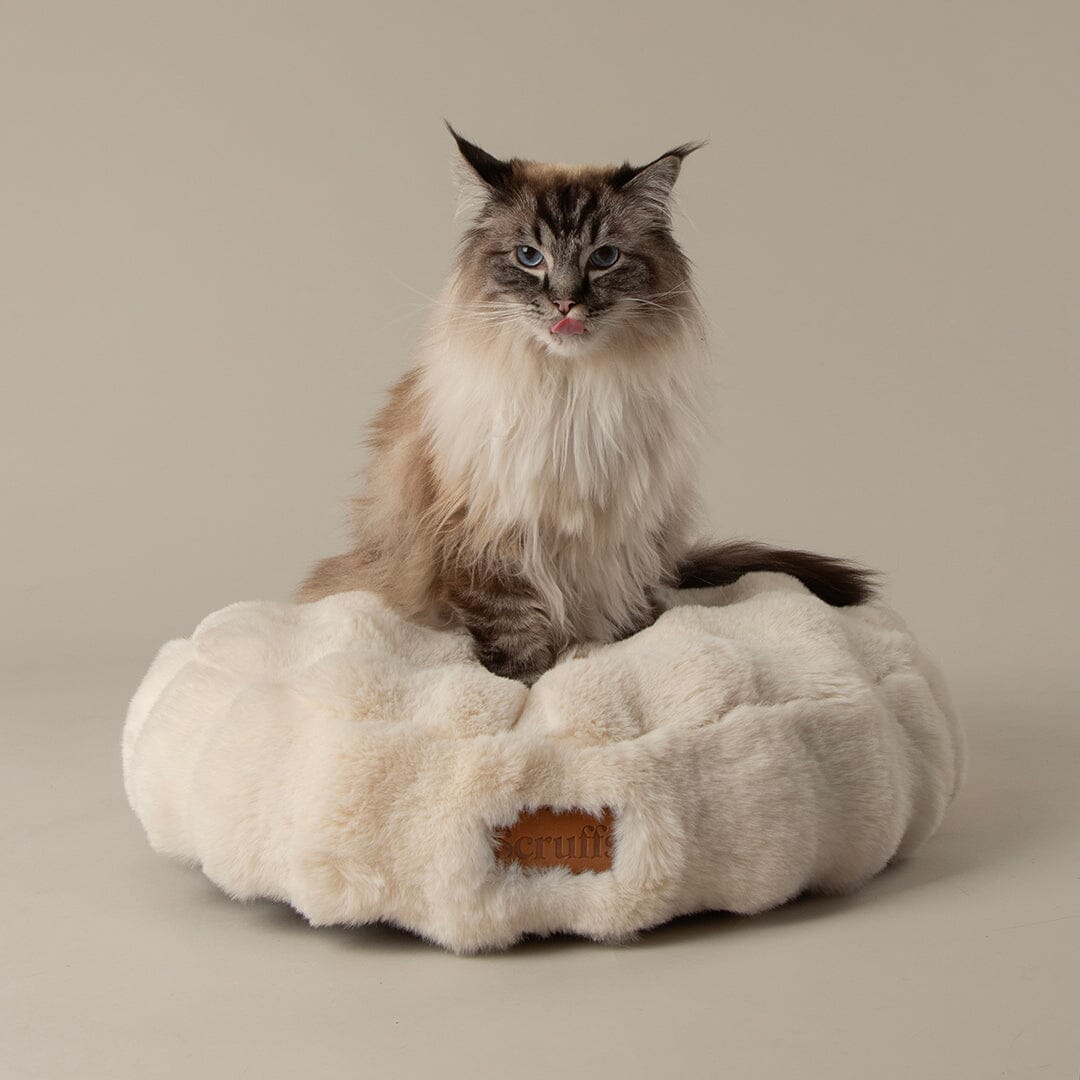 Festive Fur Cat Bed - Cream Cat Bed Scruffs®
