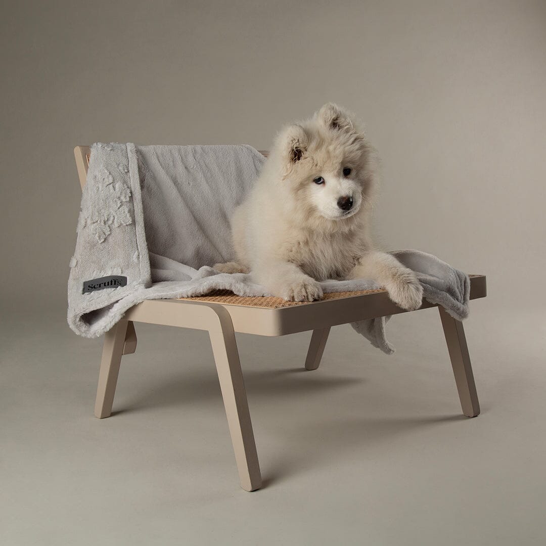 Snowflake Shimmer Pet Blanket - Taupe Dog Blanket Scruffs®