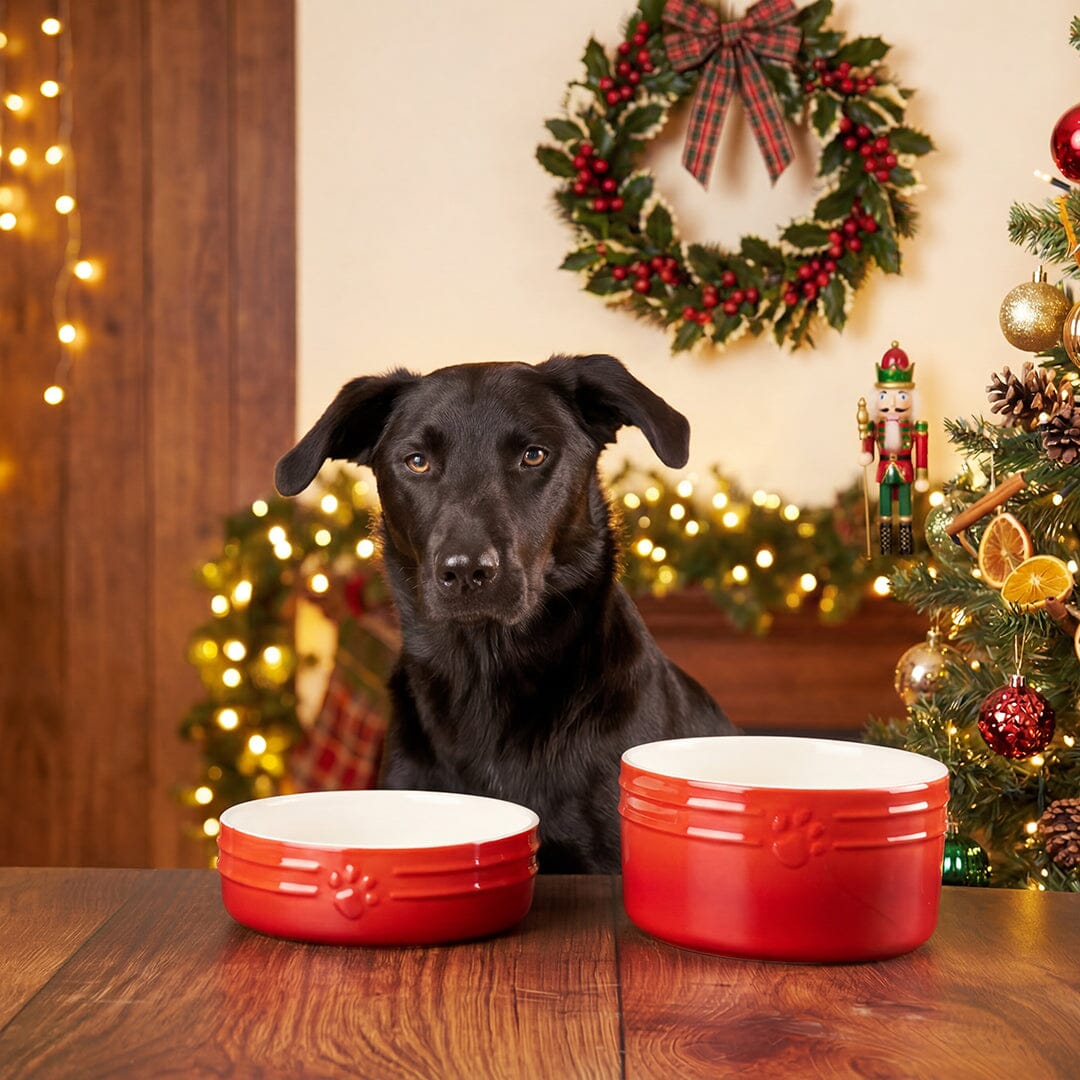 Winters Tail Food & Drink Bowl Gift Set - Red Pet Bowls, Feeders & Waterers Scruffs®