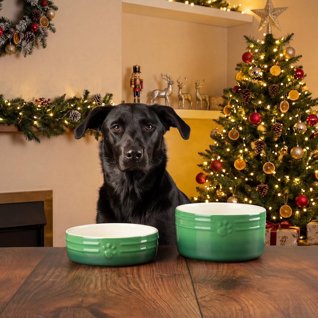 Winters Tail Food & Drink Bowl Gift Set - Green Pet Bowls, Feeders & Waterers Scruffs®