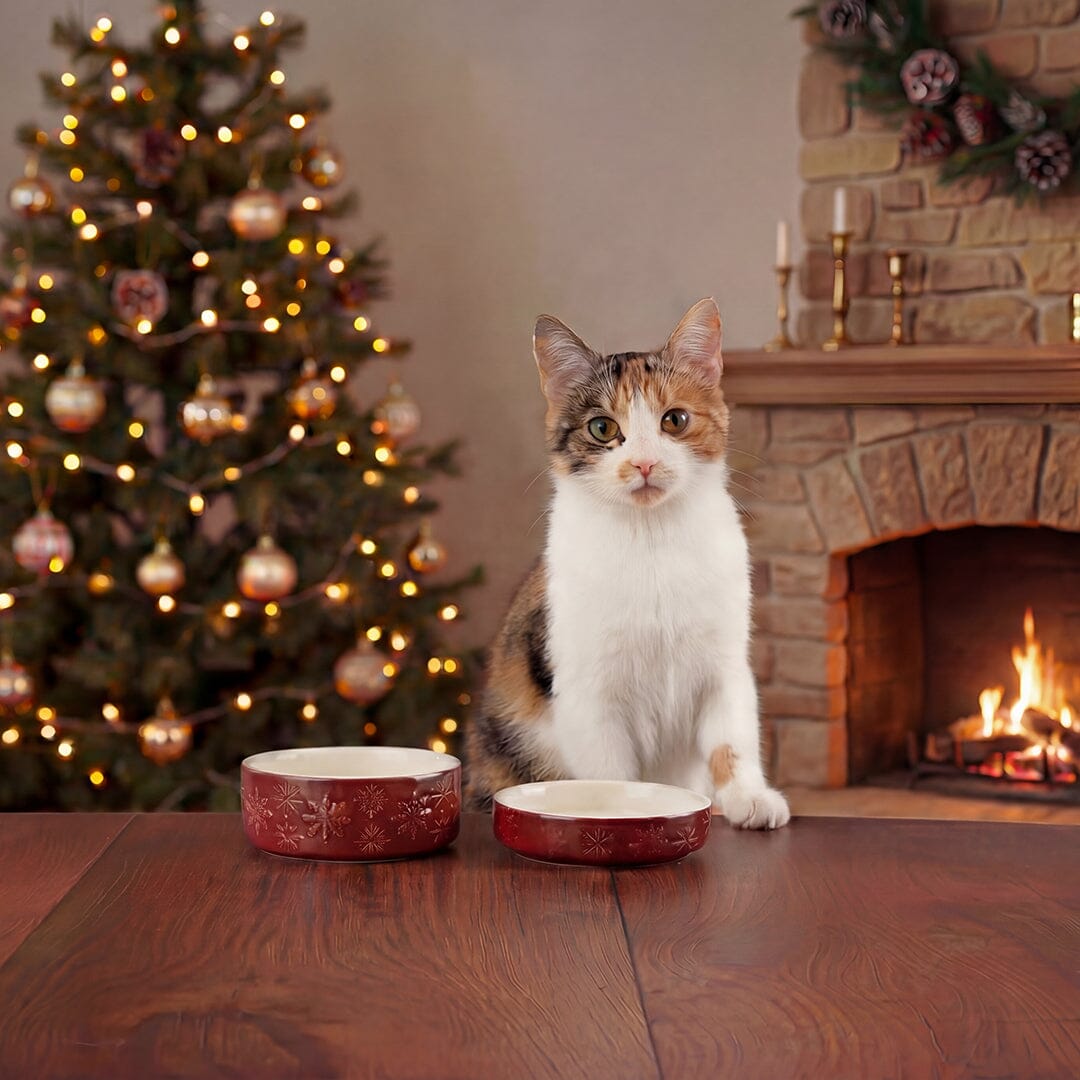 Snow Bowl Food & Saucer Gift Set - Burgundy Pet Bowls, Feeders & Waterers Scruffs®
