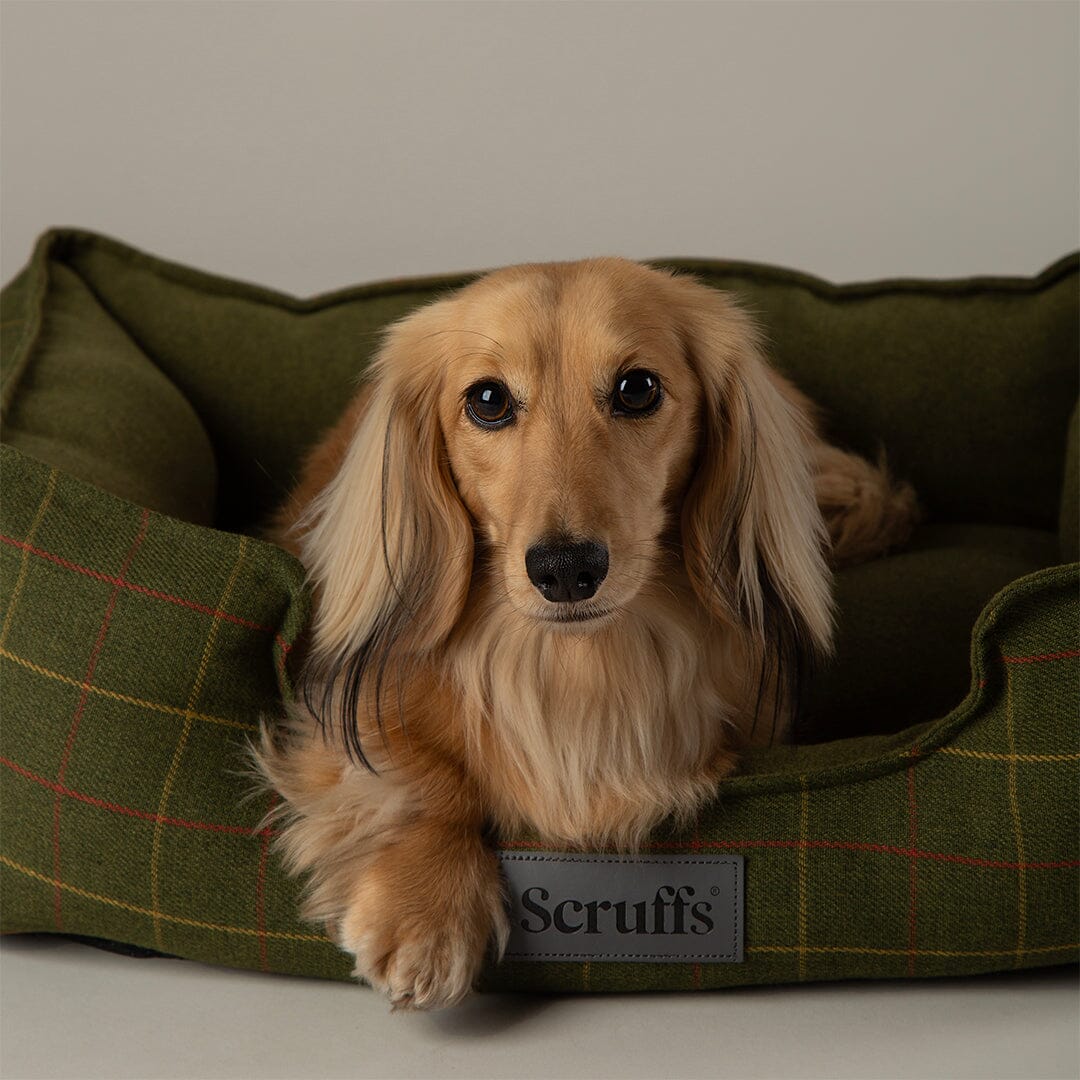 Shetland Box Bed - Green Dog Beds Scruffs®