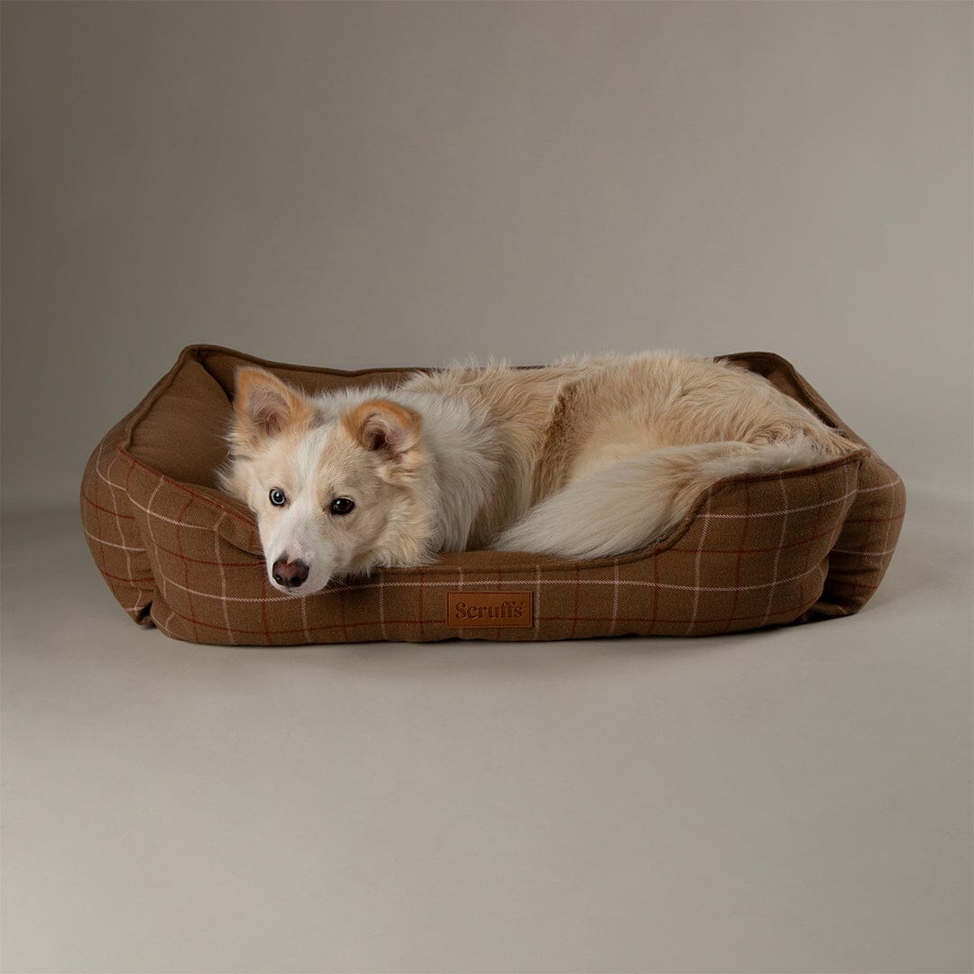 Shetland Box Bed - Brown Dog Beds Scruffs®