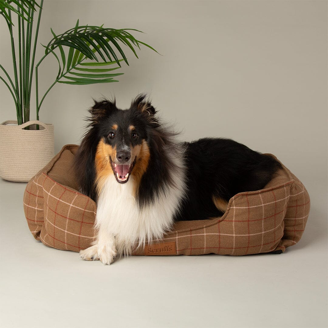 Shetland Box Bed - Brown Dog Beds Scruffs®