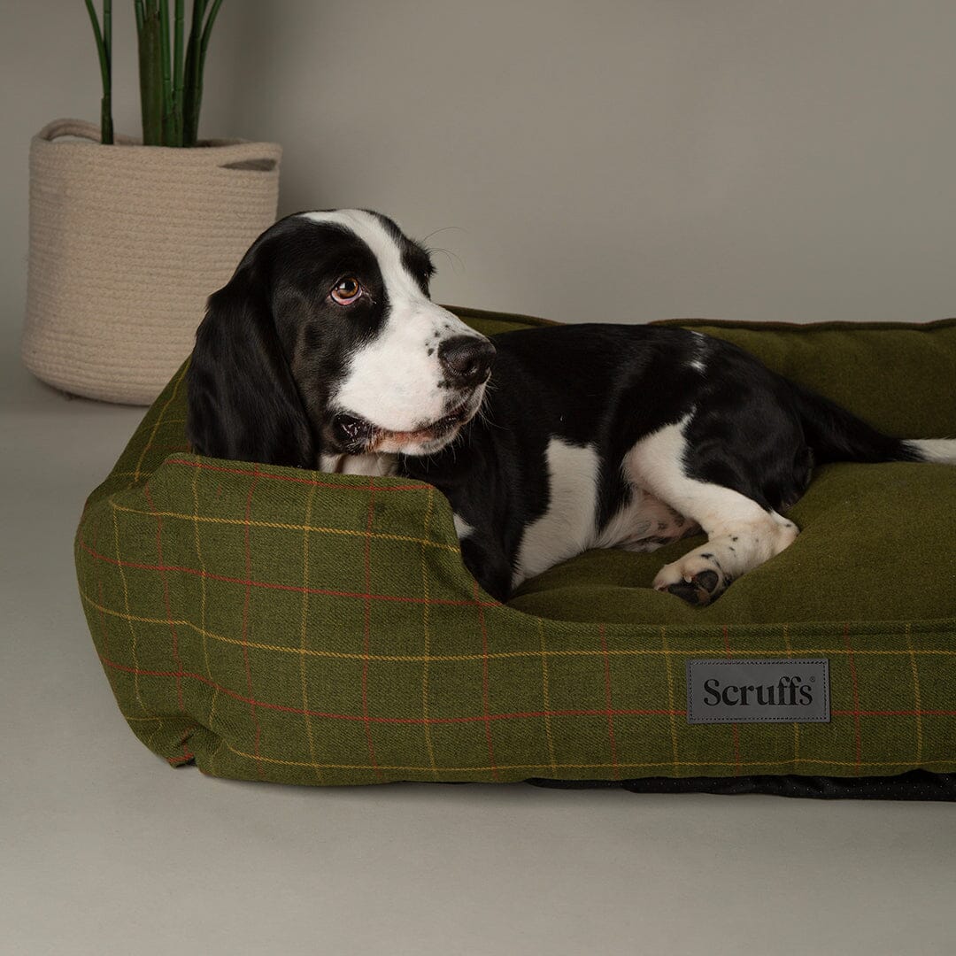Shetland Box Bed - Green Dog Beds Scruffs®
