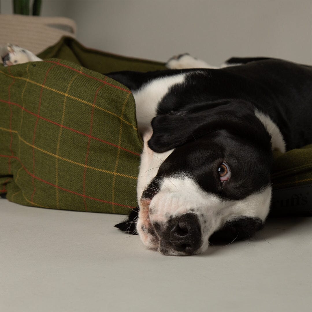 Shetland Box Bed - Green Dog Beds Scruffs®