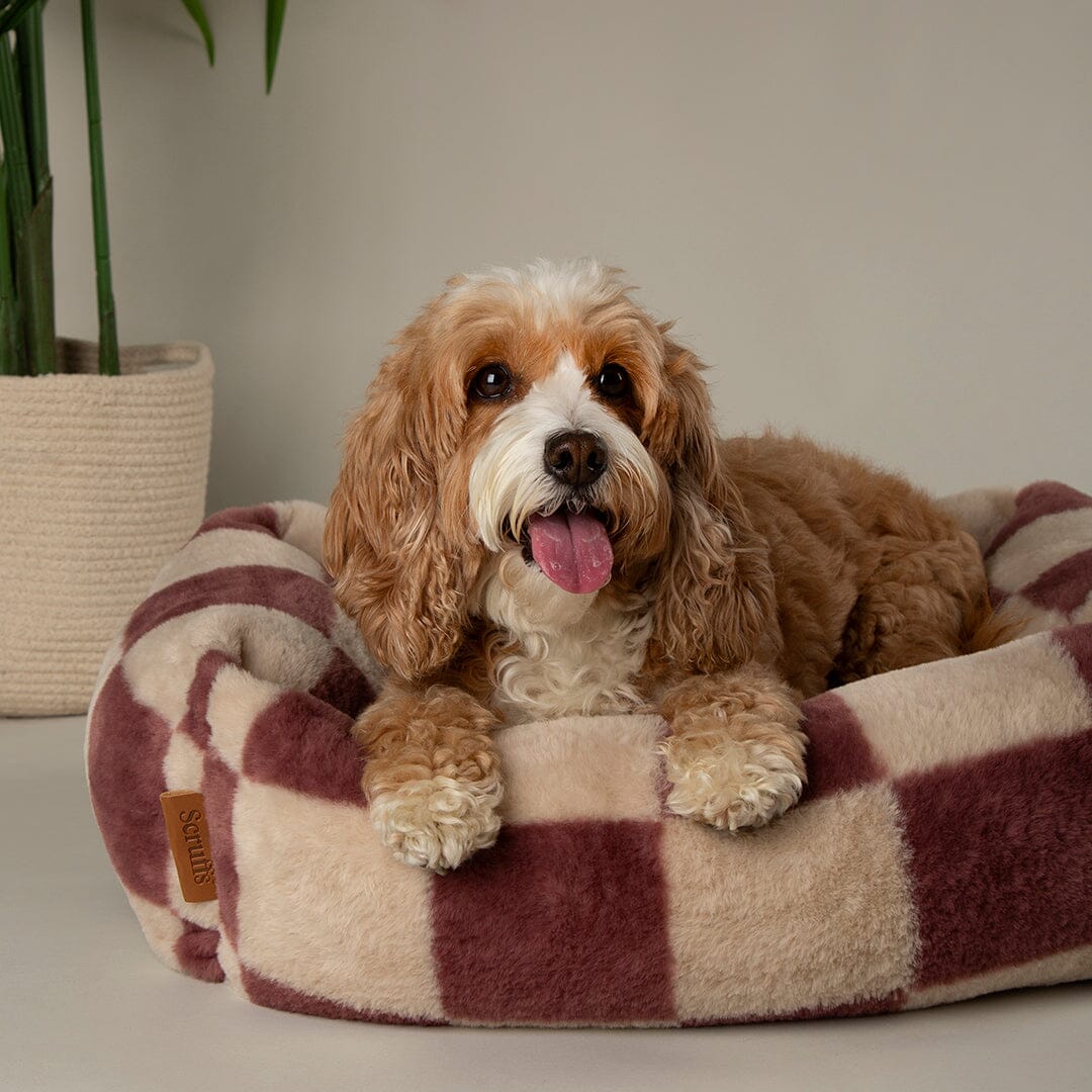 Checkerboard Box Bed - Berry/Cream Dog Beds Scruffs®