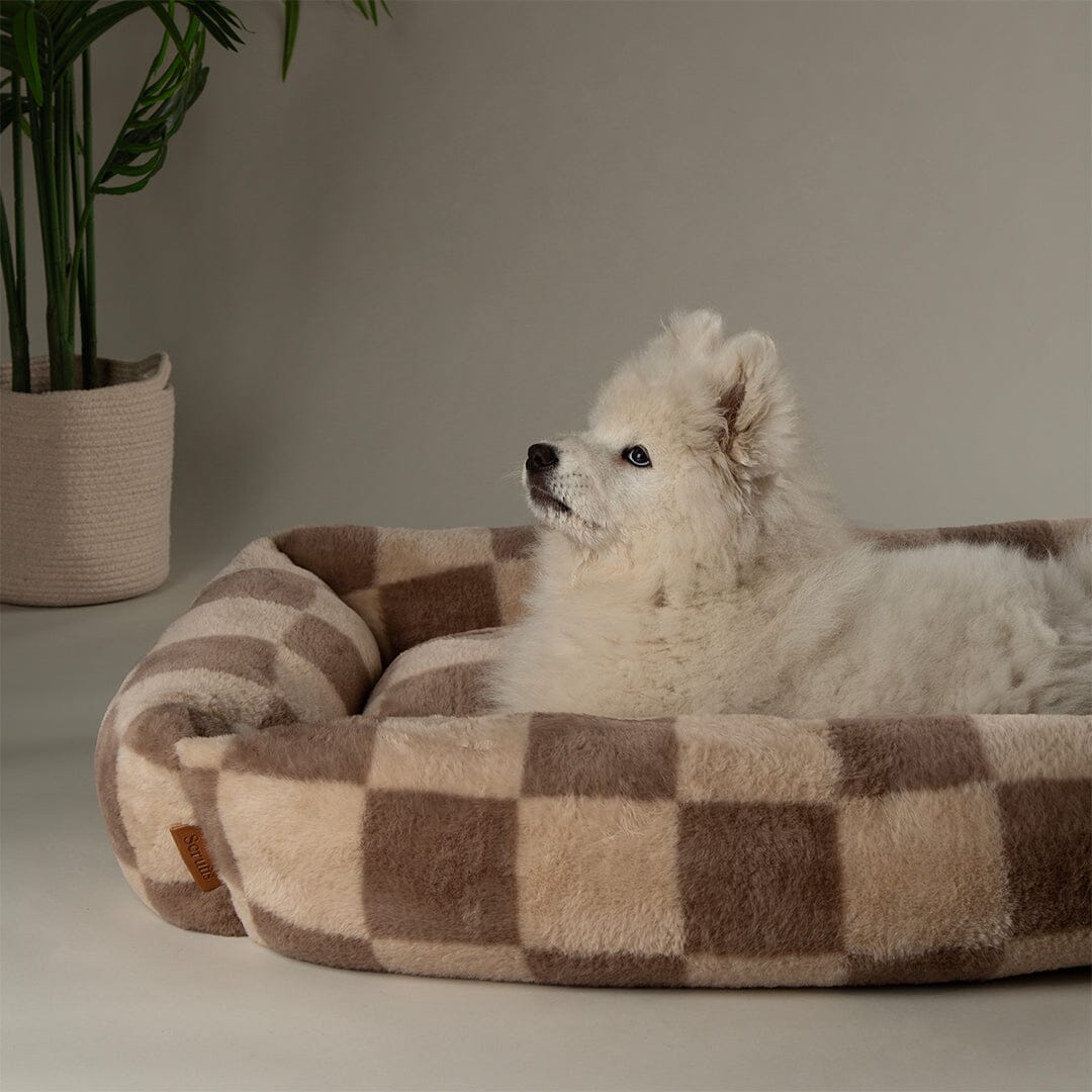 Checkerboard Box Bed - Taupe/Cream Dog Beds Scruffs®