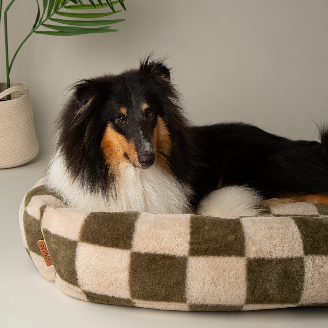 Checkerboard Box Bed - Olive/Cream Dog Beds Scruffs®
