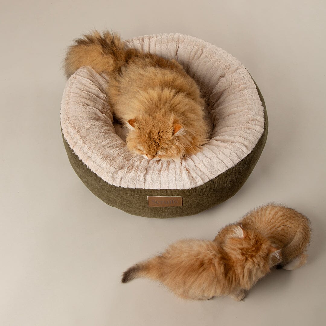 Alina Round Pet Bed - Green Dog Bed Scruffs®