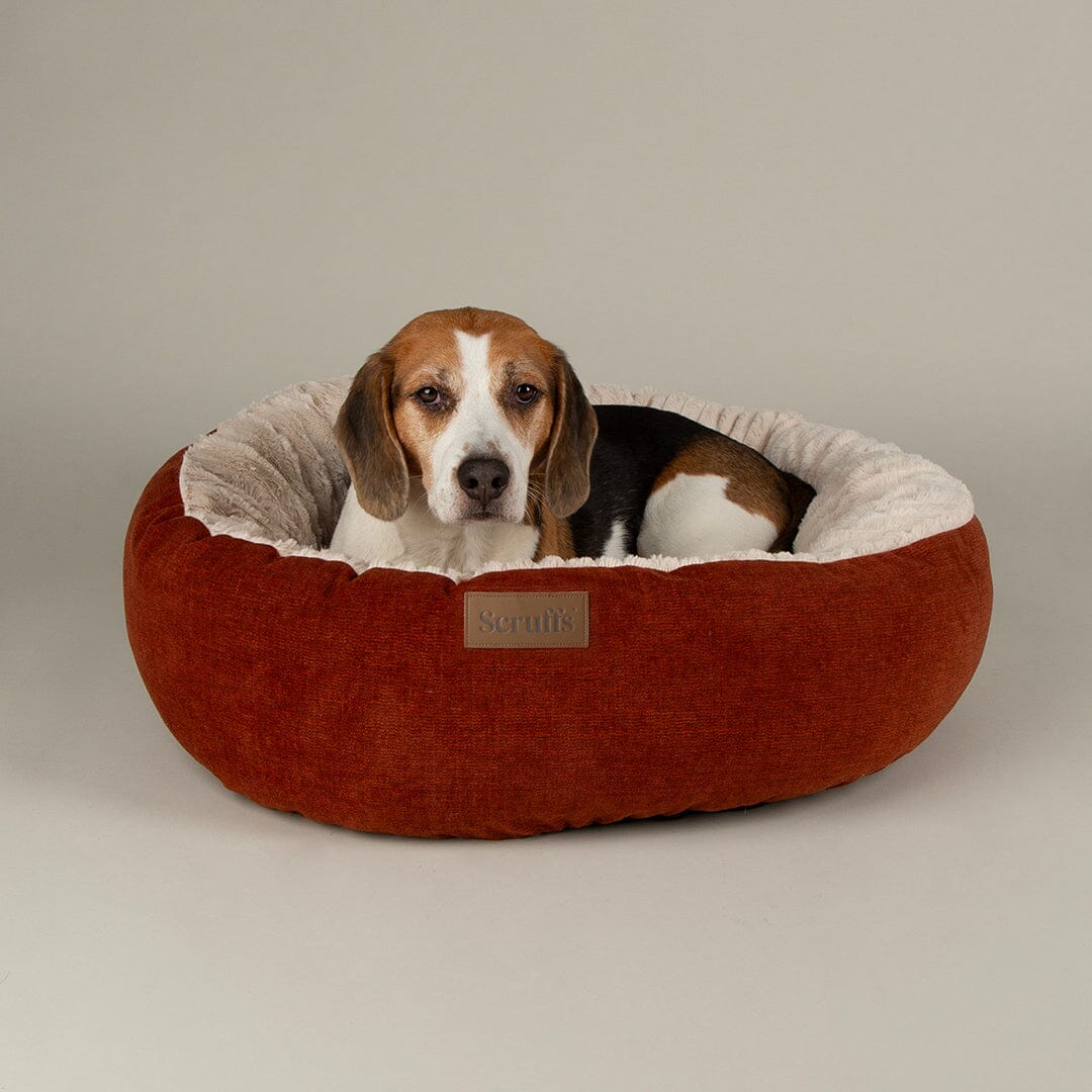 Alina Round Pet Bed - Orange Dog Bed Scruffs®