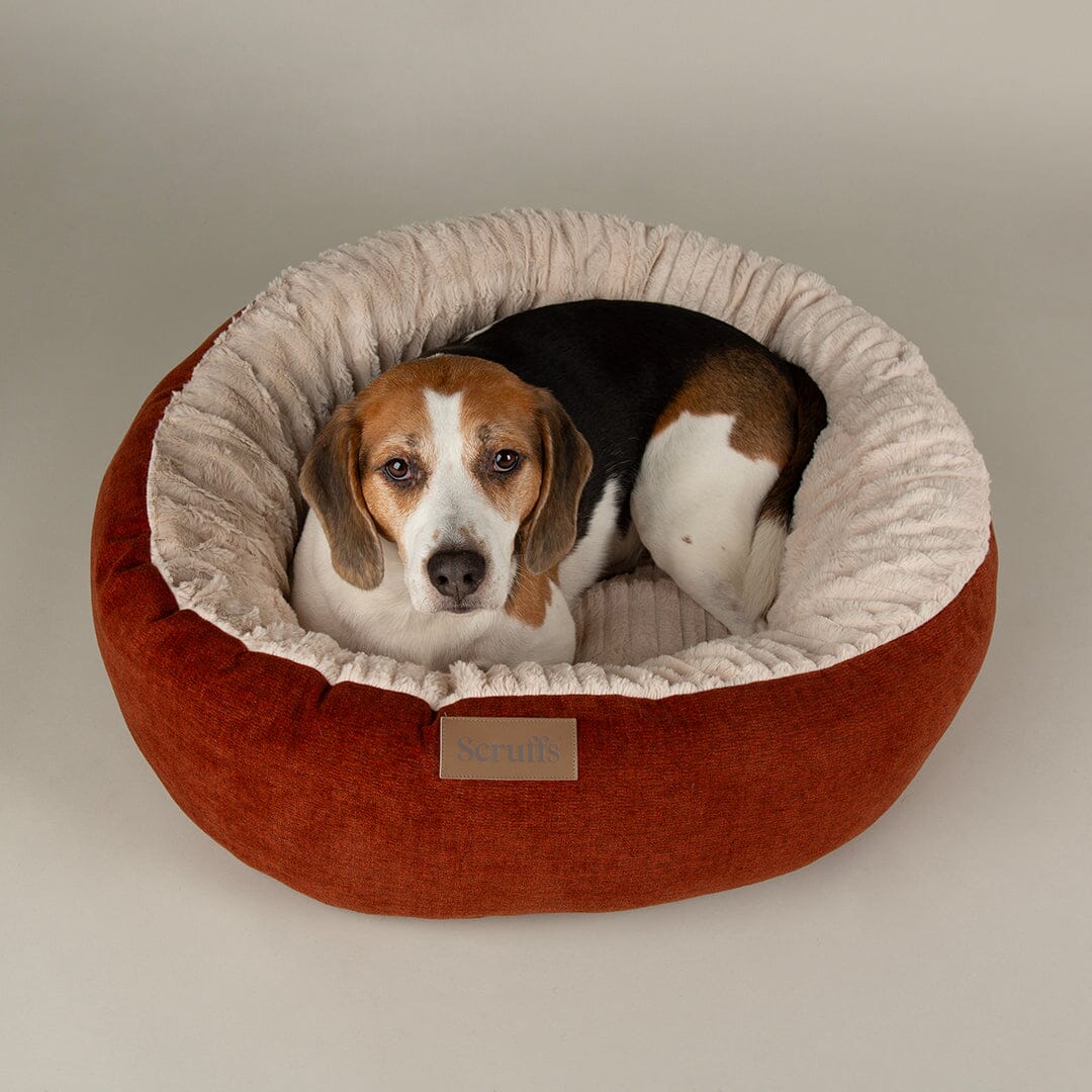 Alina Round Pet Bed - Orange Dog Bed Scruffs®