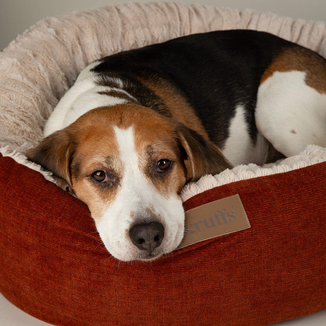 Alina Round Pet Bed - Orange Dog Bed Scruffs®