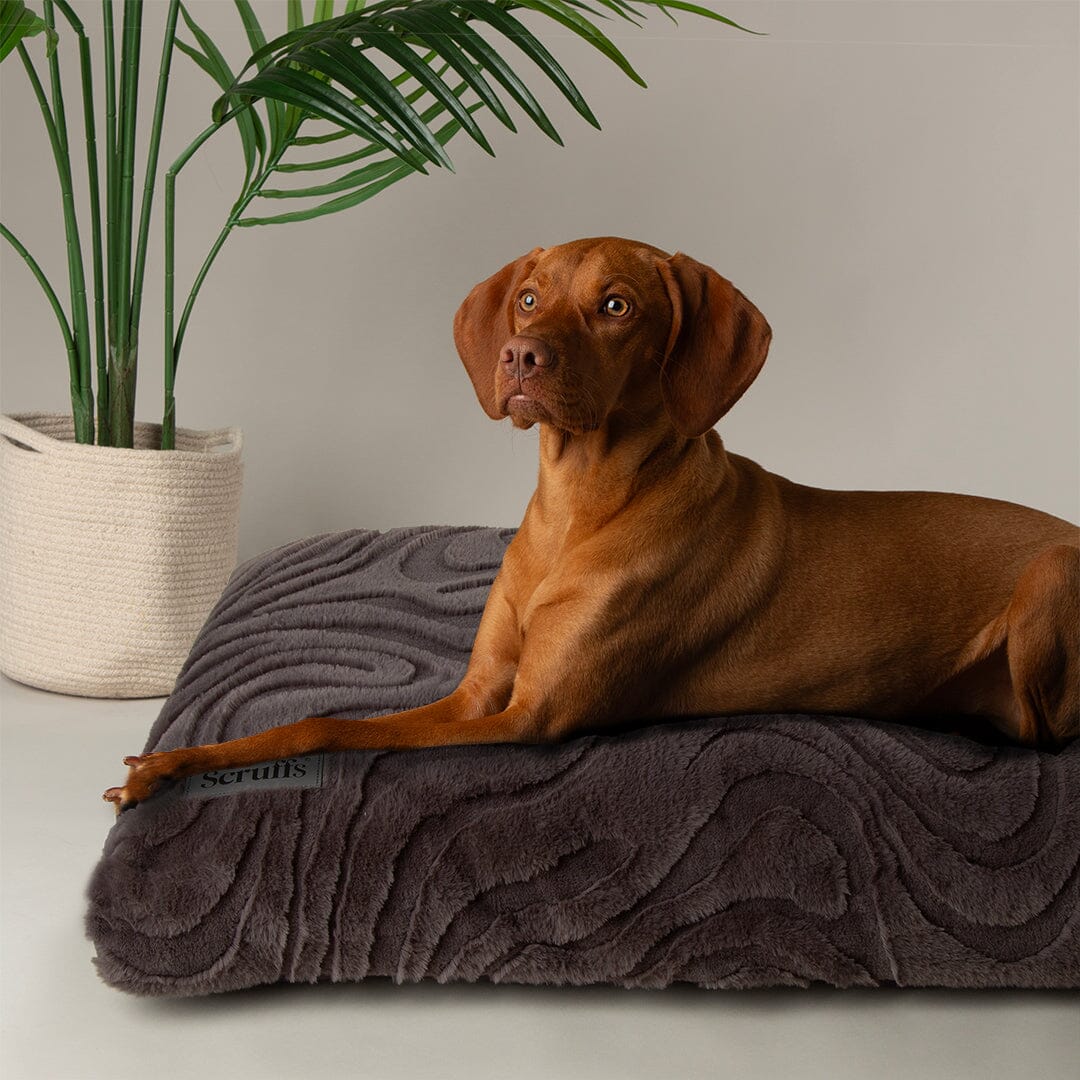 Ripple Orthopaedic Mattress - Charcoal Dog Bed Scruffs®