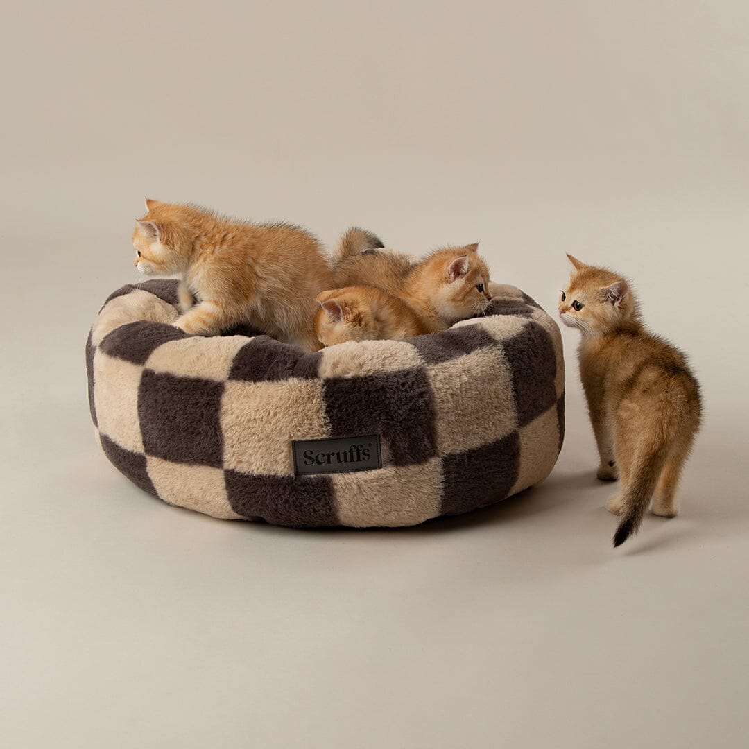 Checkerboard Round Cat Bed - Grey/Cream Cat Bed Scruffs®