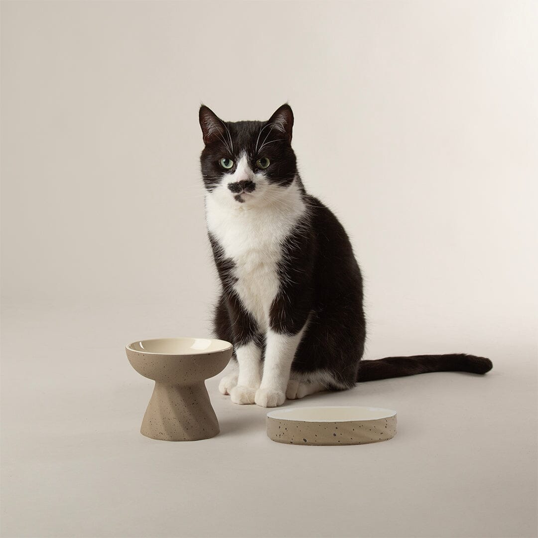 Zen 2 Piece Raised Cat Feeder & Saucer Set - Brown Pet Bowls, Feeders & Waterers Scruffs®
