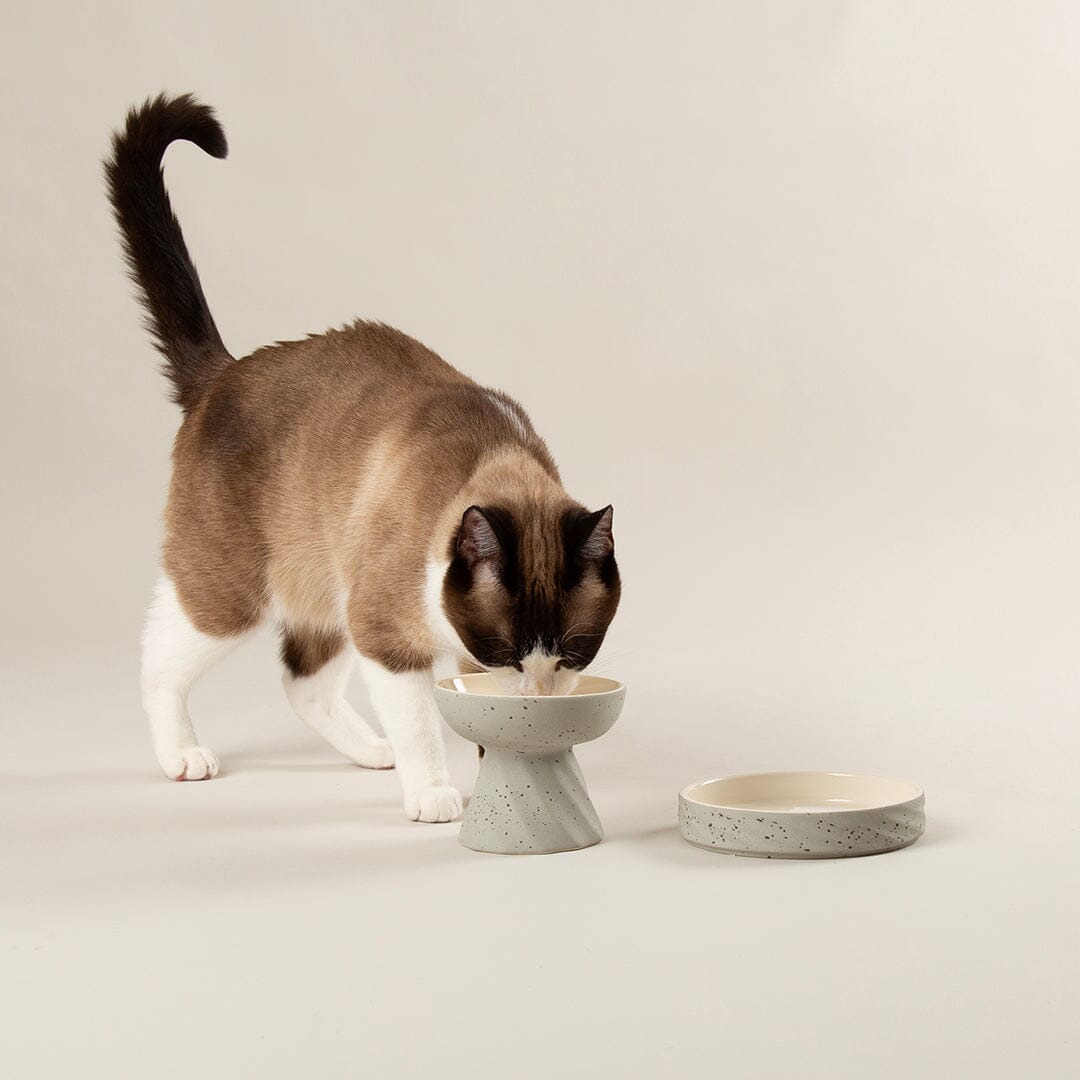 Zen 2 Piece Cat Raised Cat Feeder & Saucer Set - Grey Pet Bowls, Feeders & Waterers Scruffs®