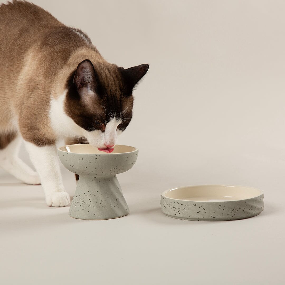 Zen 2 Piece Cat Raised Cat Feeder & Saucer Set - Grey Pet Bowls, Feeders & Waterers Scruffs®