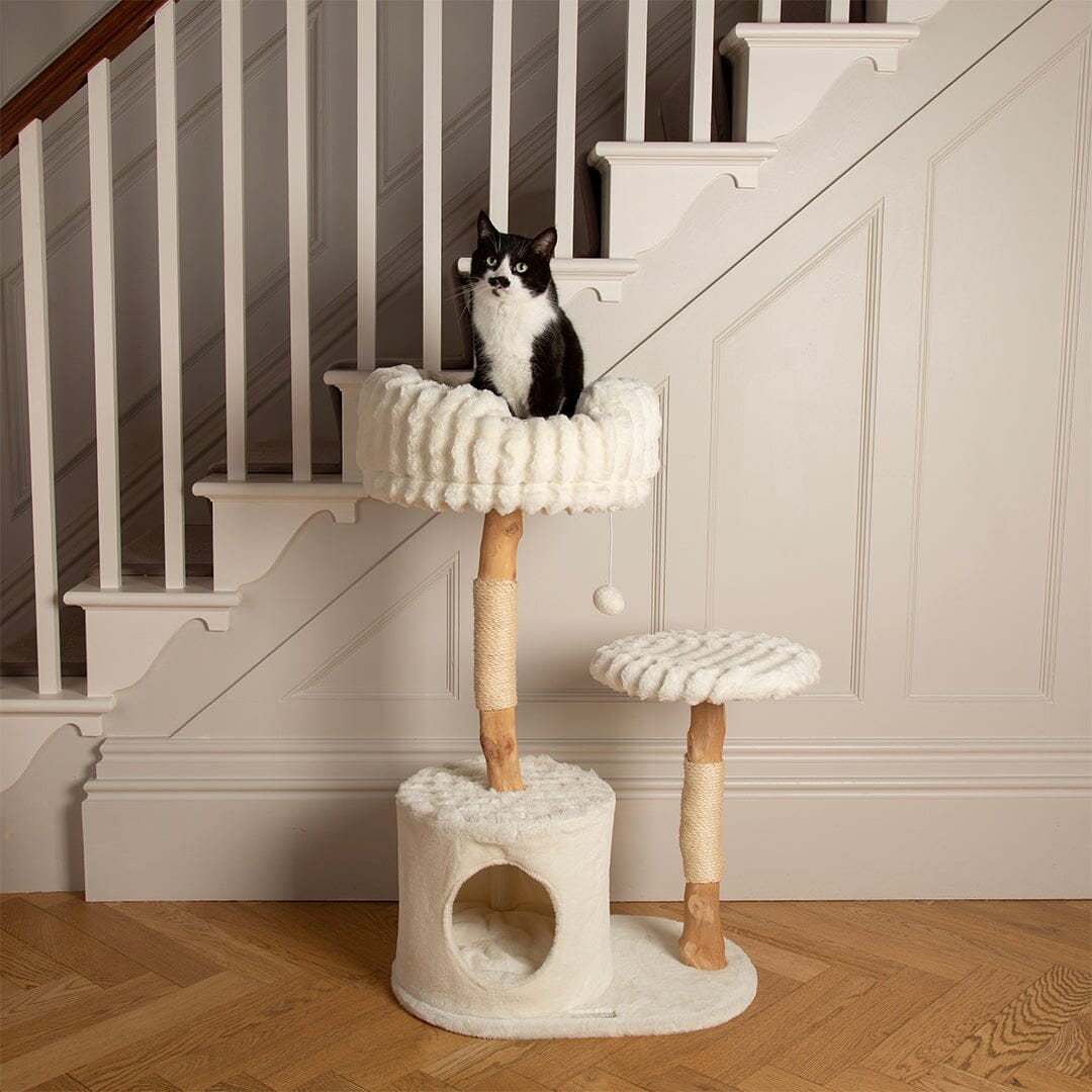 Colorado Cat Scratching Tree - Cream Cat Tree Scruffs®