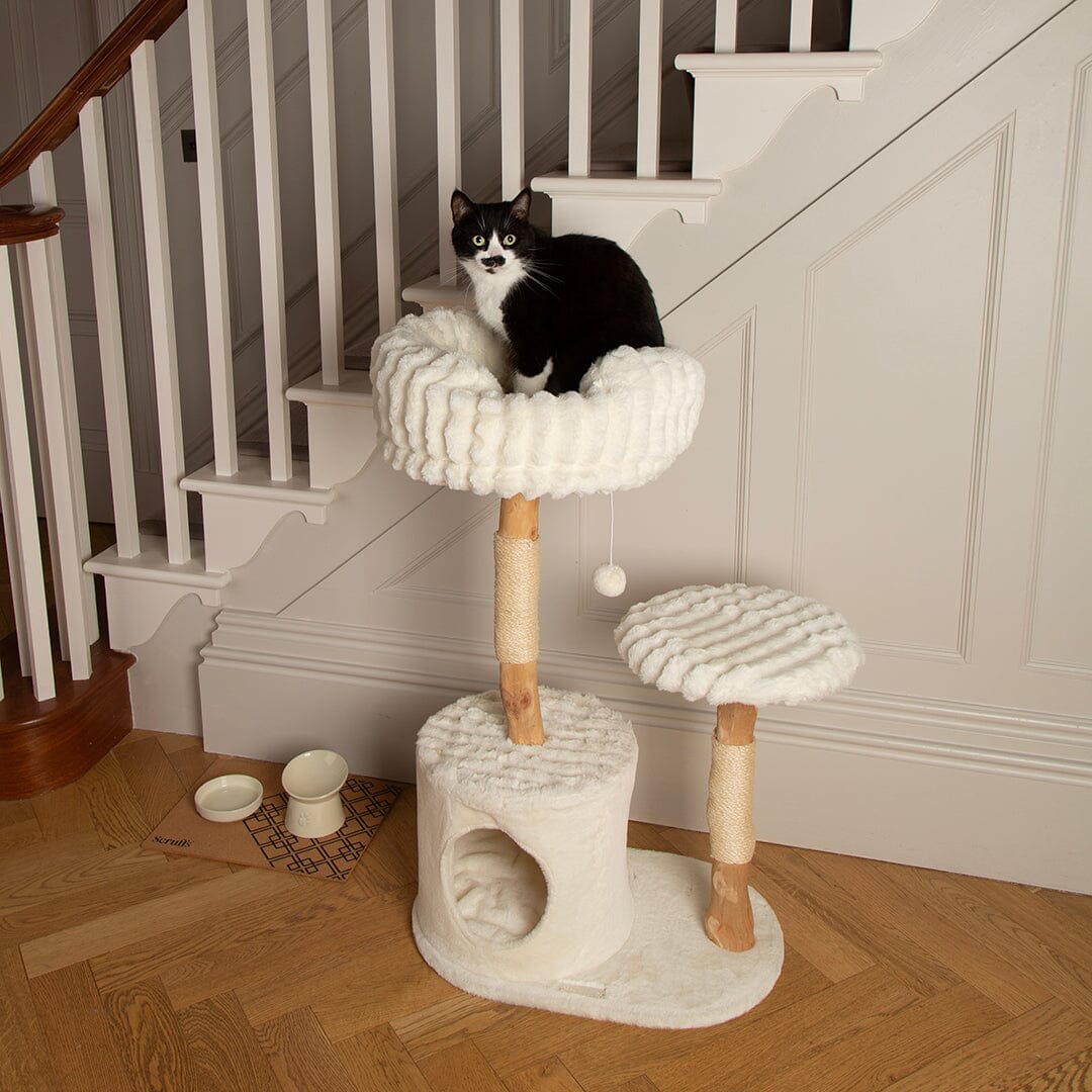 Colorado Cat Scratching Tree - Cream Cat Tree Scruffs®