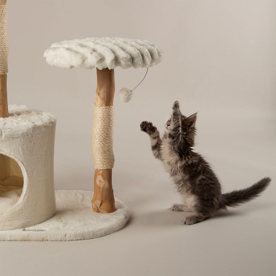 Colorado Cat Scratching Tree - Cream Cat Tree Scruffs®