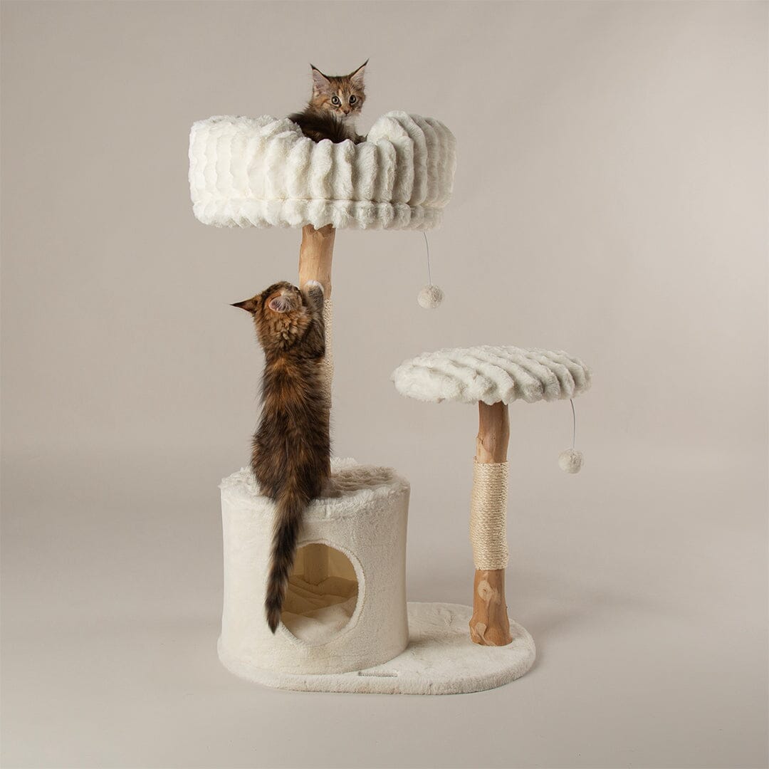 Colorado Cat Scratching Tree - Cream Cat Tree Scruffs®