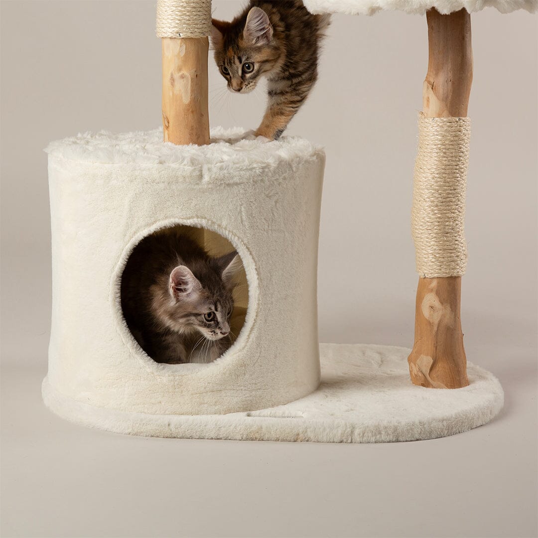 Colorado Cat Scratching Tree - Cream Cat Tree Scruffs®