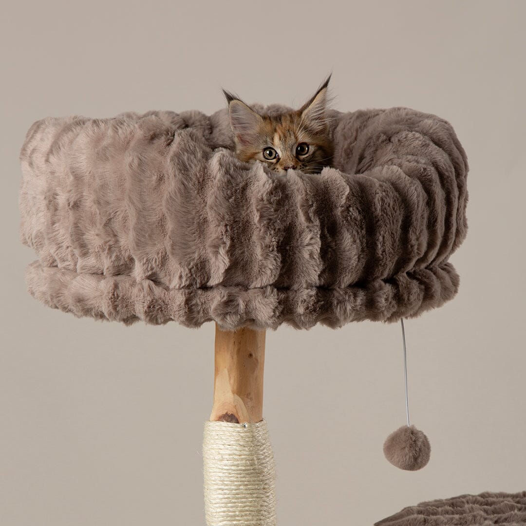 Colorado Cat Scratching Tree - Taupe Cat Tree Scruffs®
