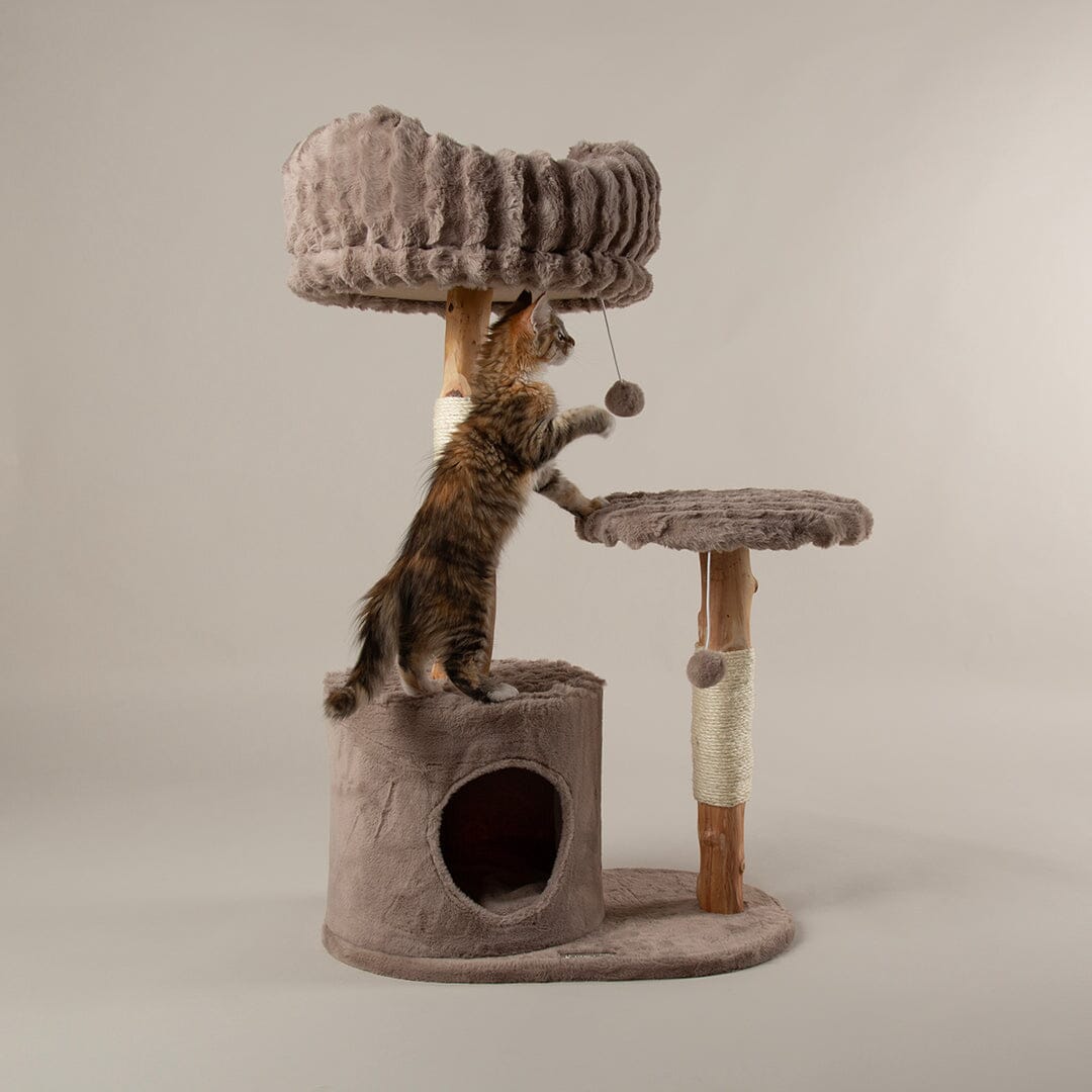 Colorado Cat Scratching Tree - Taupe Cat Tree Scruffs®