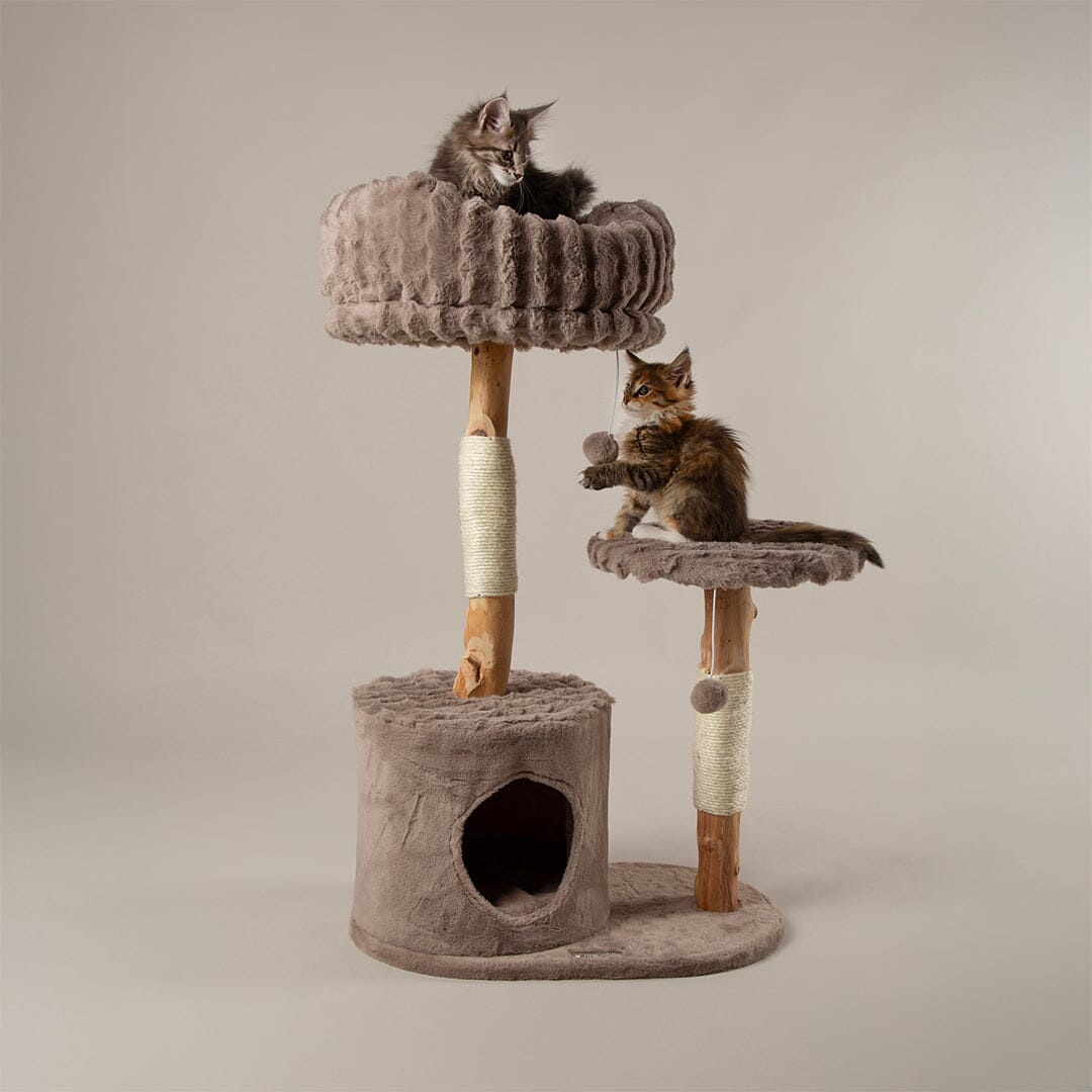 Colorado Cat Scratching Tree - Taupe Cat Tree Scruffs®