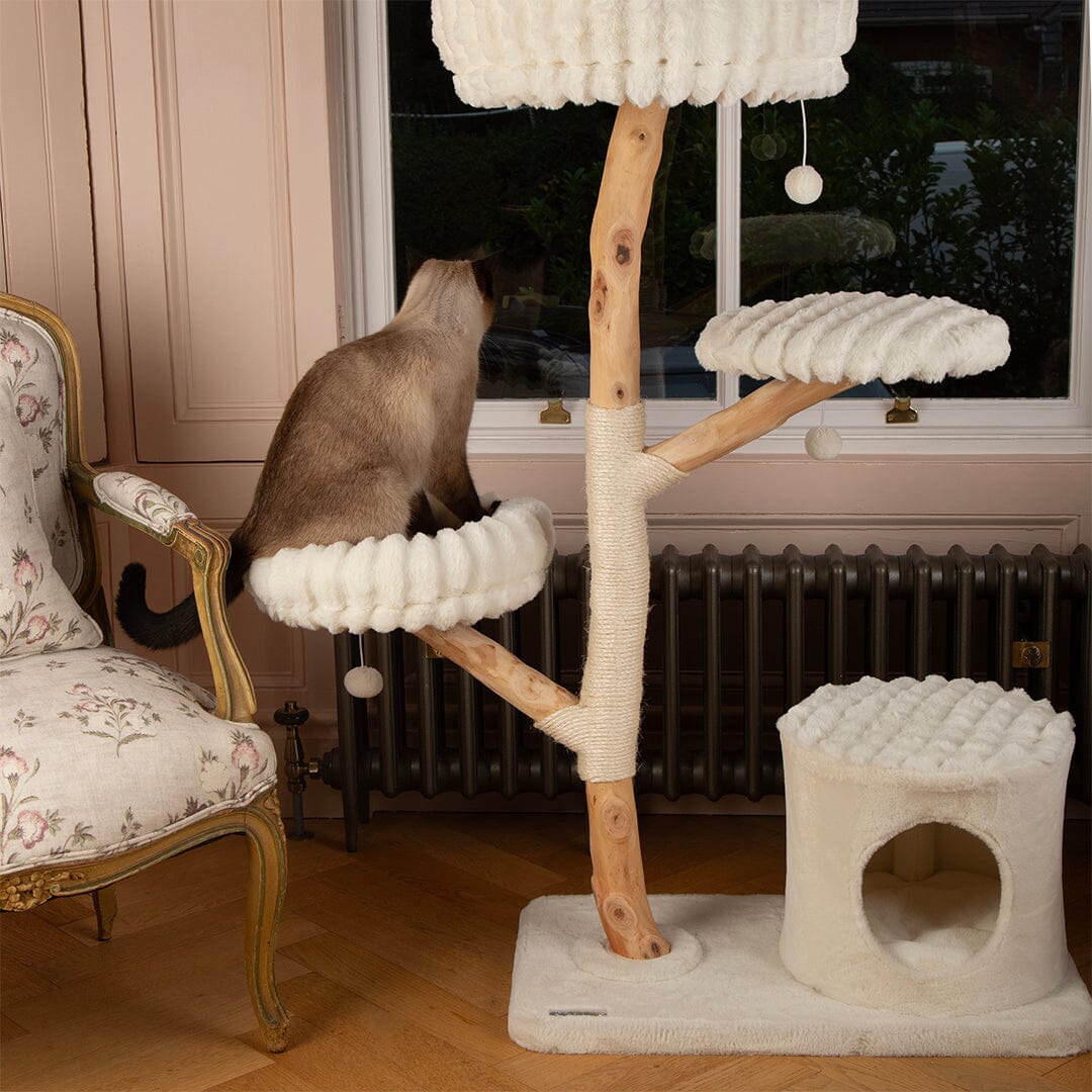 Pyrenees Cat Scratching Tree - Cream Cat Tree Scruffs®