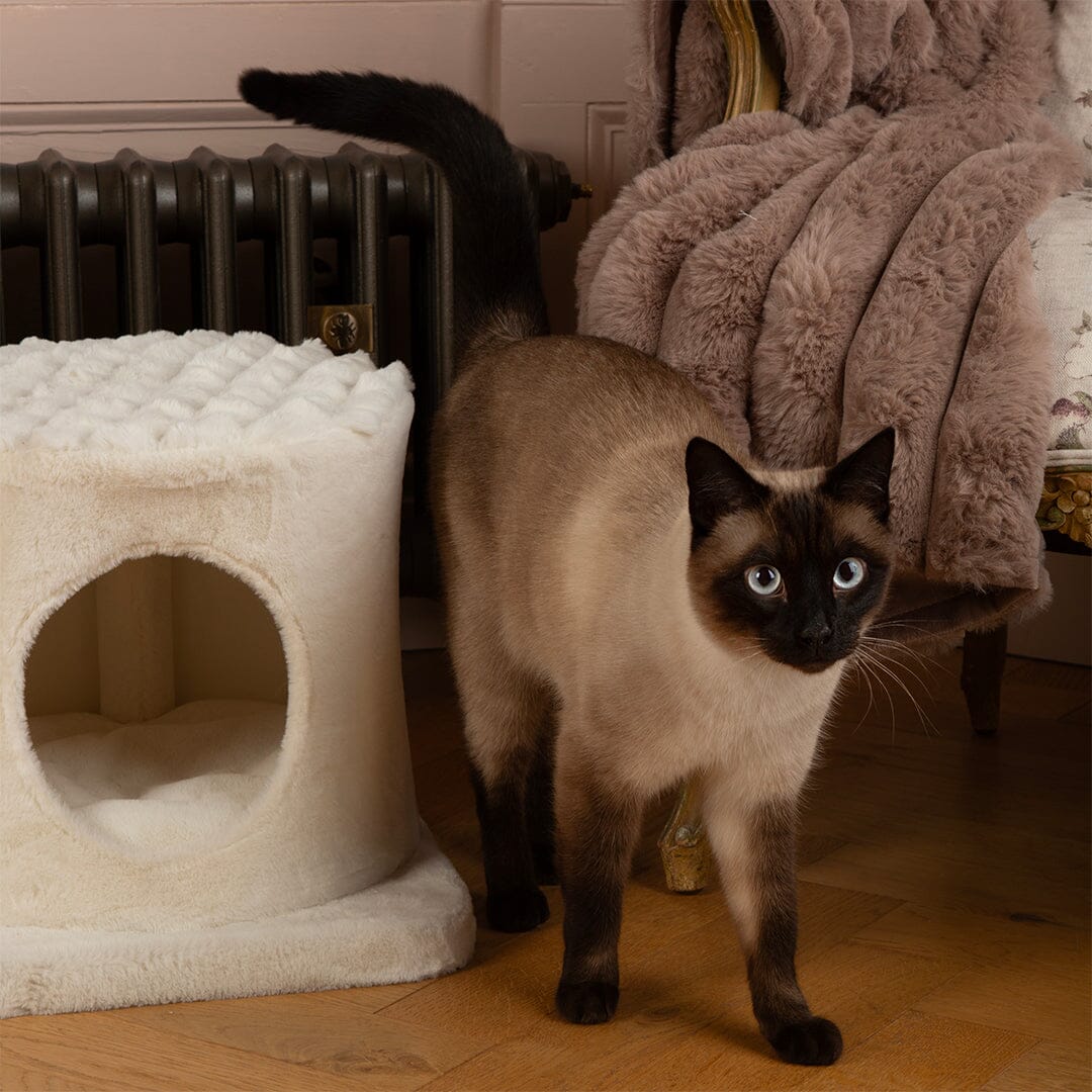 Pyrenees Cat Scratching Tree - Cream Cat Tree Scruffs®