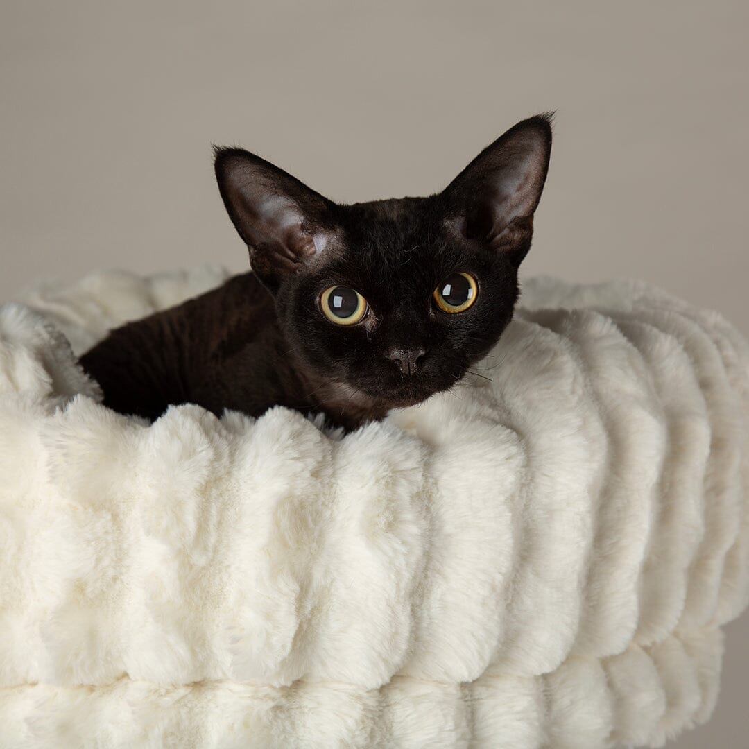 Alpine Pyrenees Cat Tree - Cream Cat Tree Scruffs®