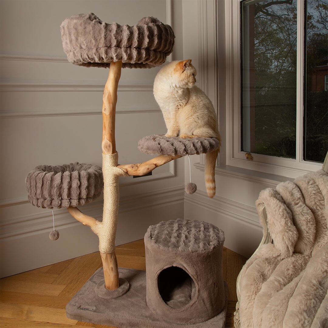 Pyrenees Cat Scratching Tree - Taupe Cat Tree Scruffs®